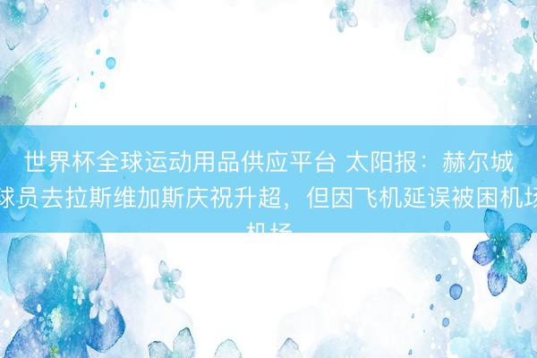 世界杯全球运动用品供应平台 太阳报：赫尔城球员去拉斯维加斯庆祝升超，但因飞机延误被困机场
