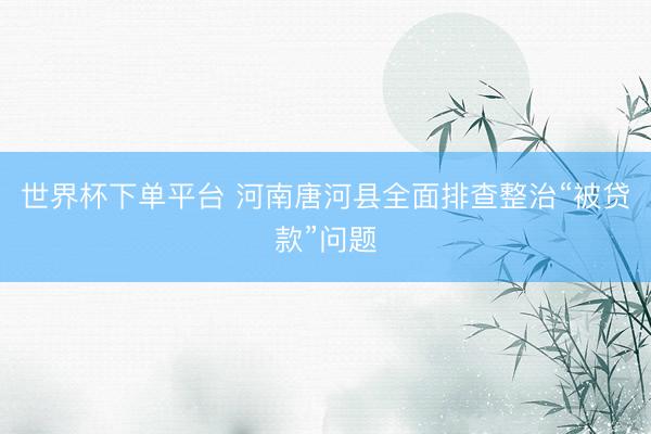 世界杯下单平台 河南唐河县全面排查整治“被贷款”问题