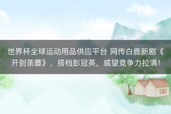 世界杯全球运动用品供应平台 网传白鹿新剧《开到荼蘼》，搭档彭冠英，威望竞争力拉满！