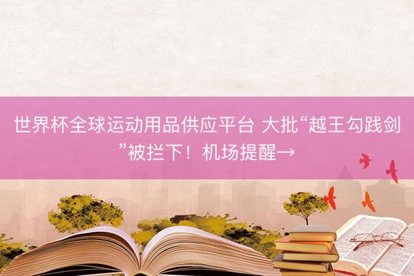 世界杯全球运动用品供应平台 大批“越王勾践剑”被拦下！机场提醒→